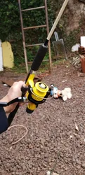 Imagen de reseña 4