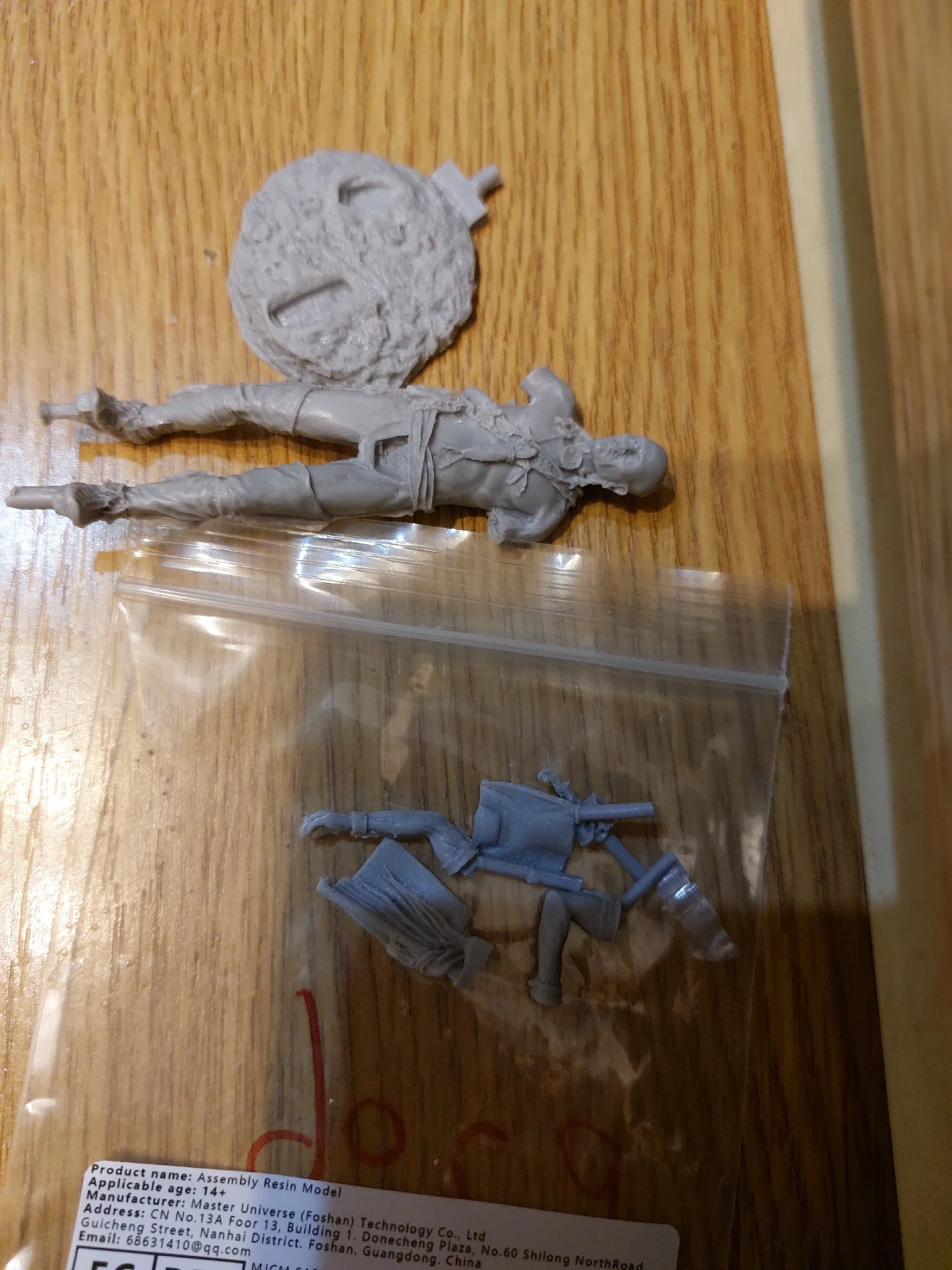 Buyer photo of this resin kit