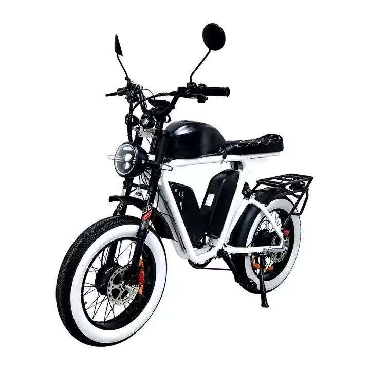 Dual Bafang Motors Electric BIKE 48v 1000W triple lithium batteries fat tire electric bicycle wholesale bicicleta electrica