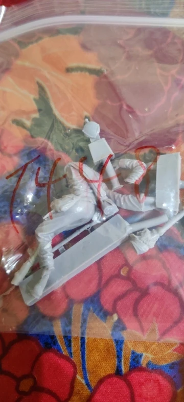 Buyer photo of this resin kit