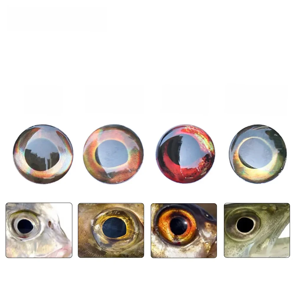 ICERIO 100 pièces holographique 3D 4D yeux de poisson pour mouche attachant Streamer mouches Baitfish bois plastique leurres leurres de pêche en eau salée