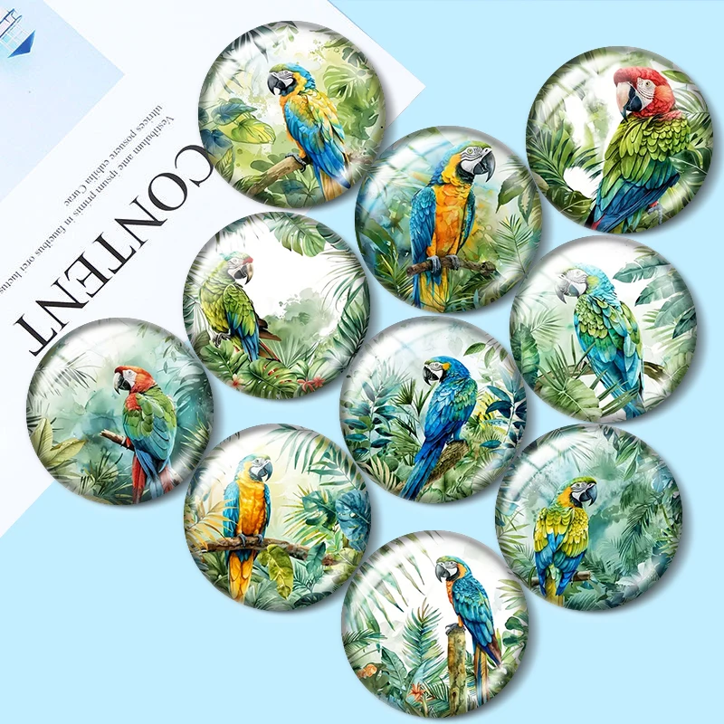 

Vibrant parrot tropical leaves 12mm/16mm/20mm/25mm/30mm demo flat back making mixed 10pcs Round photo glass cabochon findings