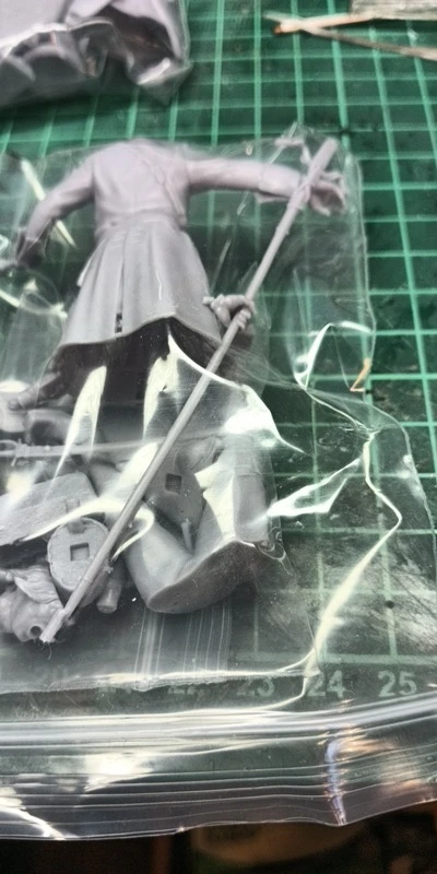Buyer photo of this resin kit