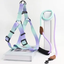 A set of colorful pet harness with leash and dog leash for indoor and outdoor use