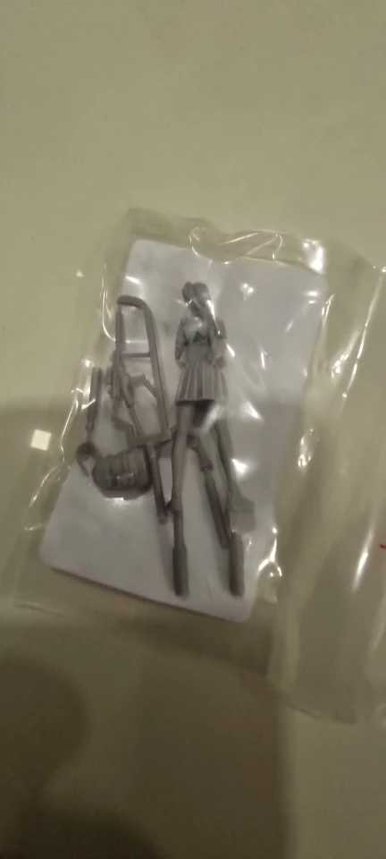 Buyer photo of this resin kit