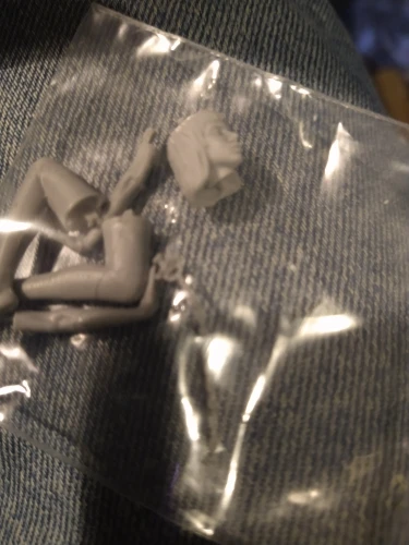 Buyer photo of this resin kit