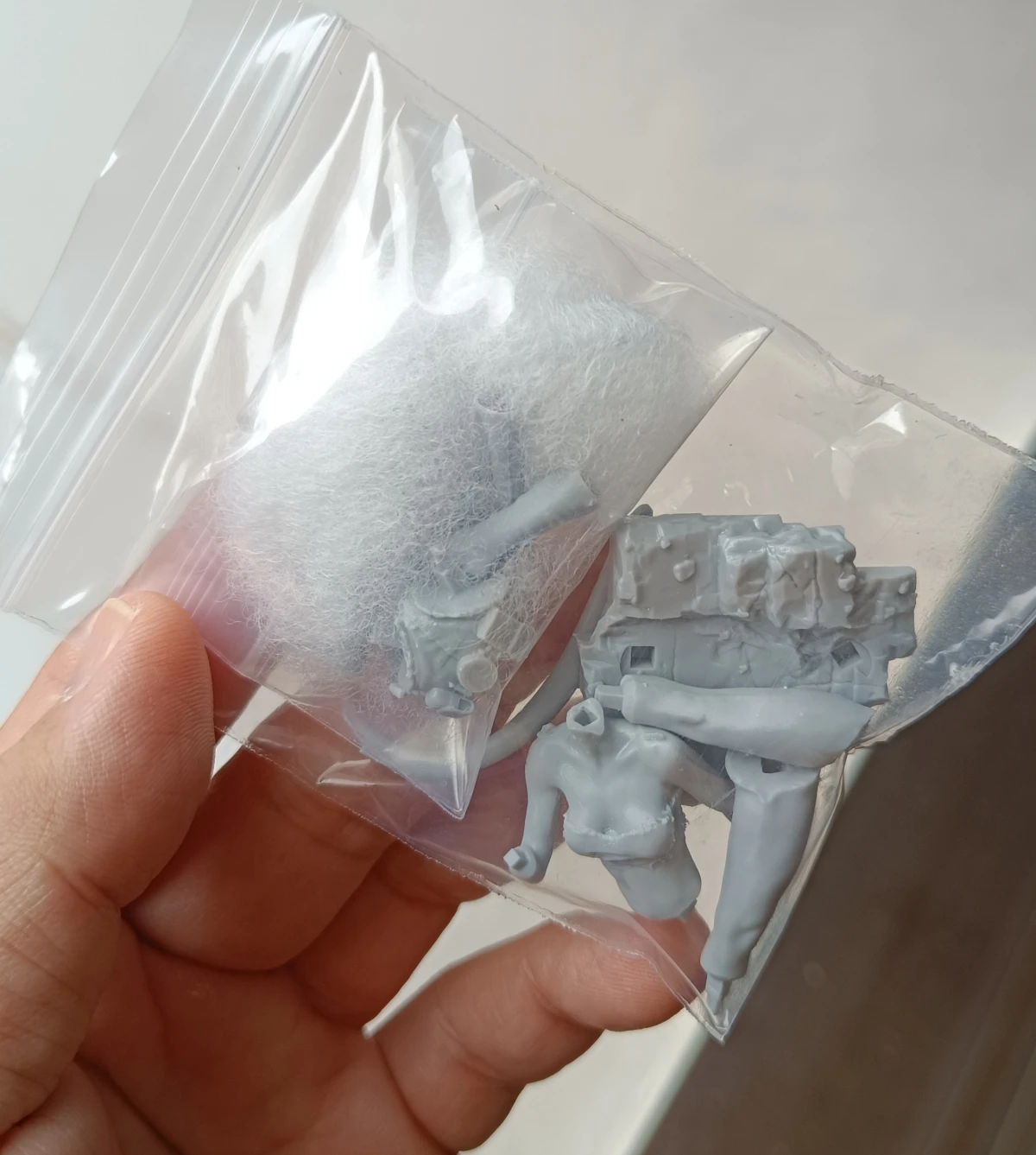 Buyer photo of this resin kit