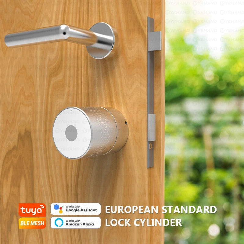 Euro Tuya Remote Unlock Secure Interior Smart Fingerprint Lock No Cylinder Intelligent Tuya for Woden Door