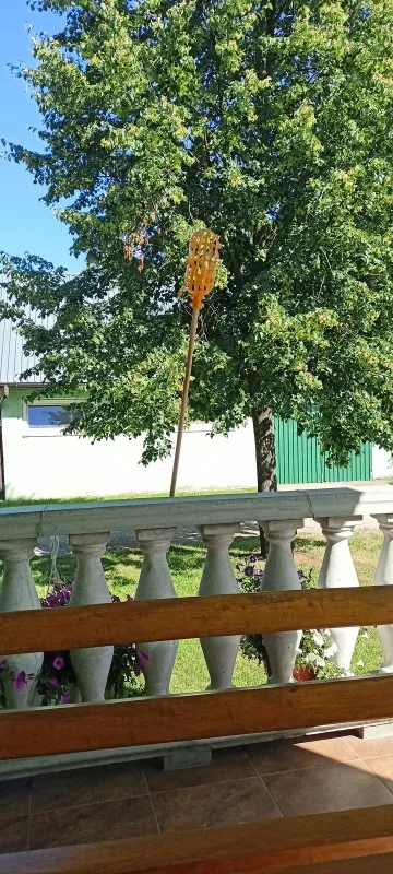 리뷰 사진