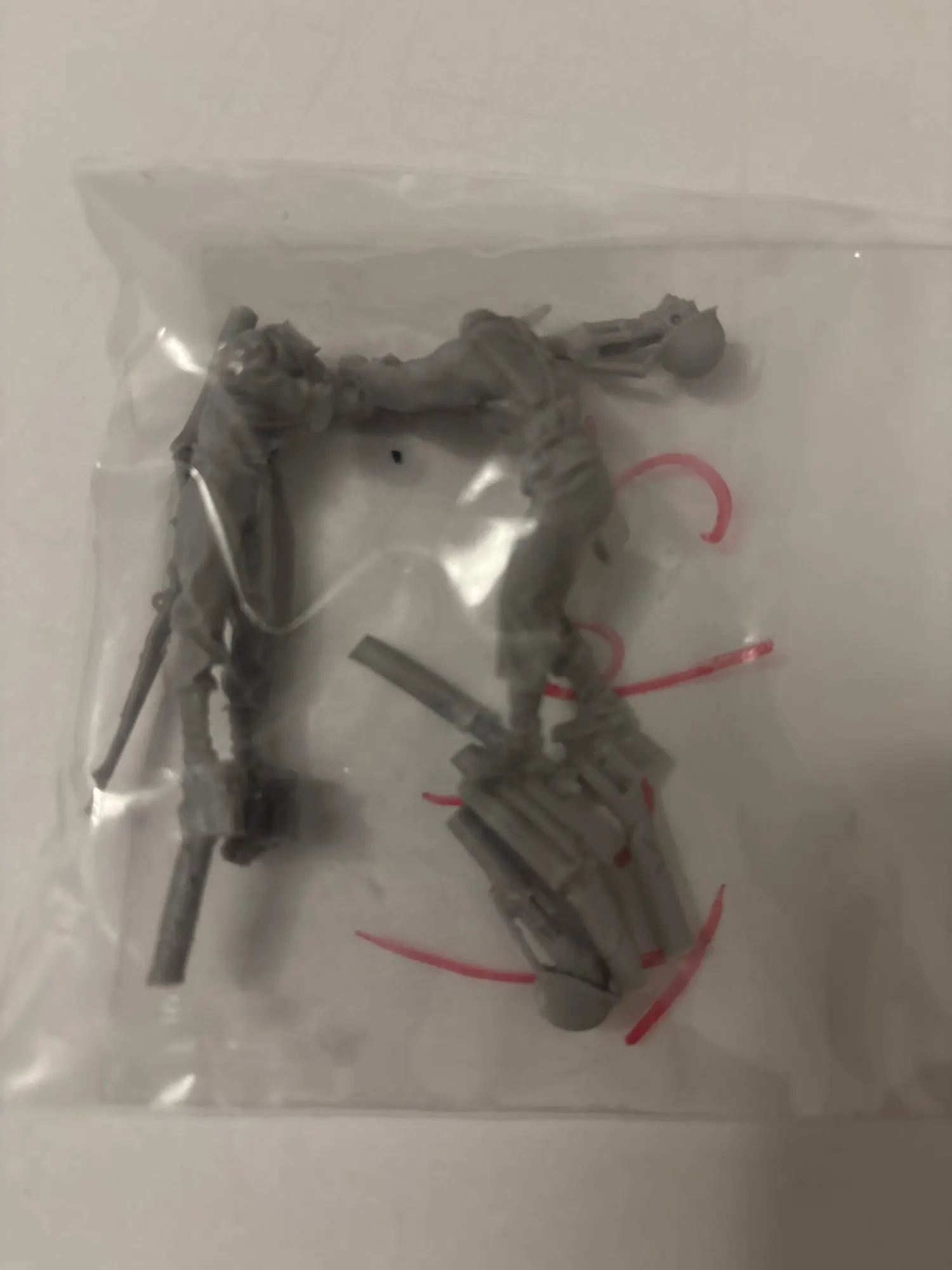 Buyer photo of this resin kit