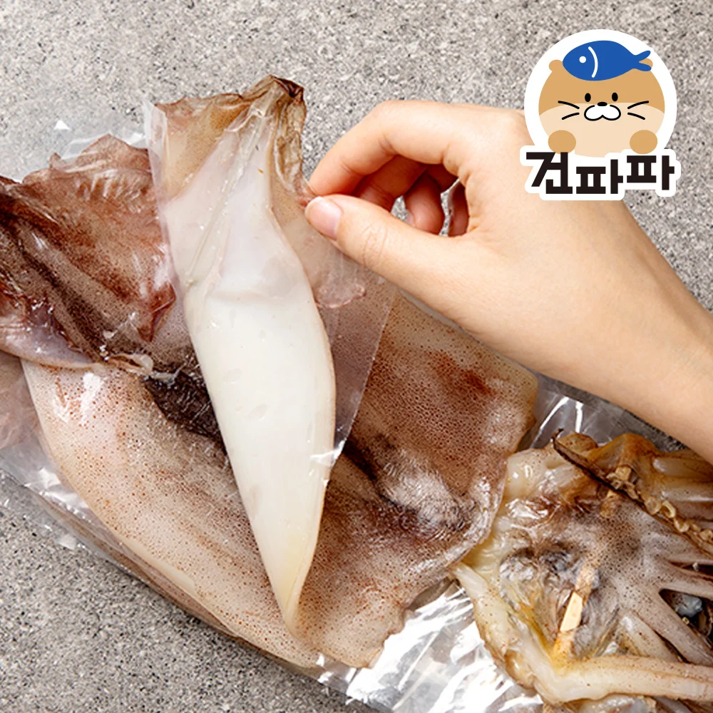 [Quality assurance] Kowloon Po Construction Won Yangsan semi-dry squid Fidegi King 5 mi (about 625g)