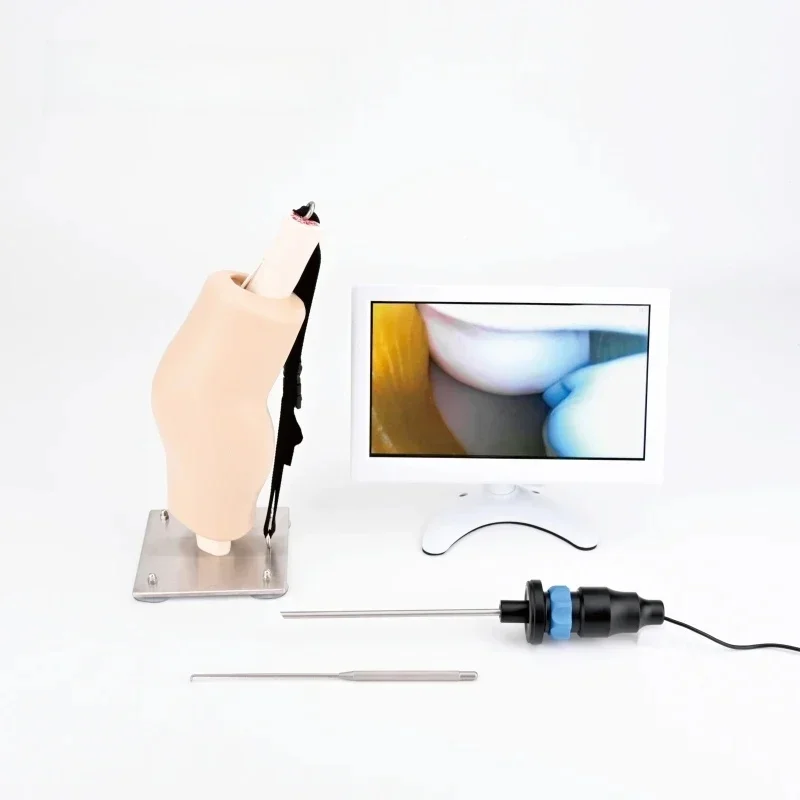 Symulować operację artroskopową za pomocą modułu kolana instrumentu kamera HD i monitora — zdjęcie 2