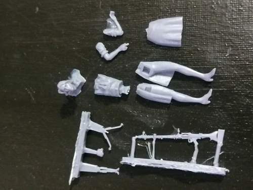Buyer photo of this resin kit