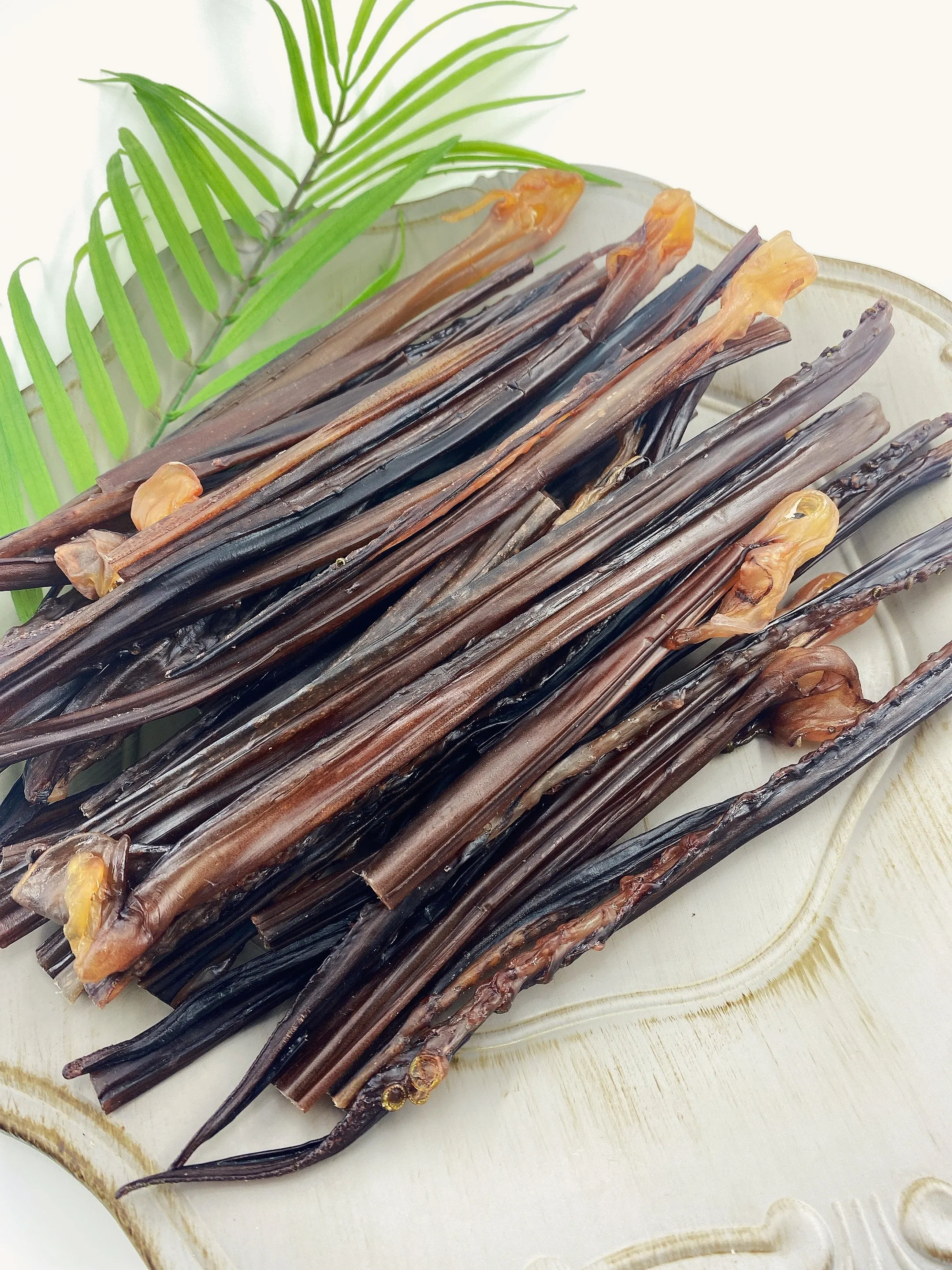 قطع الحصان هجر الفاظ 1 كجم المحلية الرئيسية الملك الحبار الأخطبوط القدم