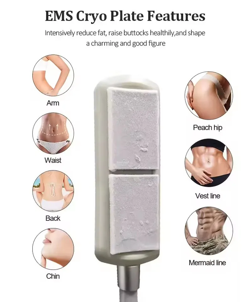 

Maxlipo Body Shape System Effectively Eliminate the Fat of the Part of Body No Pain Cause Scar No Need to Recover Cryolipolysis