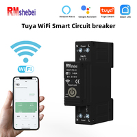 Tuya WiFi Smart Circuit Breaker Switch With Power Metering 1P 1-63A DIN Rail Smart Life Control Works With Alexa Google Home