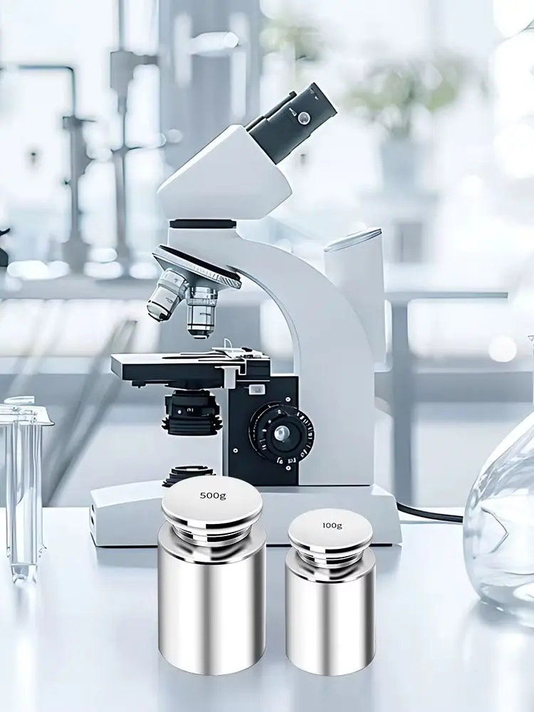 50g 100g 200g 500g Petits poids en acier au carbone adaptés aux balances numériques, balances en grammes, balances à bijoux (argent), poids de précision, poids d'équilibre, poids argentés, contrepoids