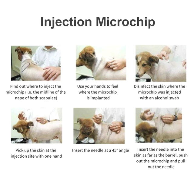 20pcs 134.2KHz FDX-B Universal Pet Microchip ISO11784/85 Animal 15 Digits ID Chip Pet Microchip Syringe for Dog Cat 6