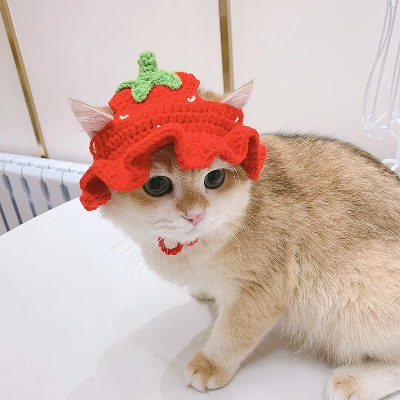 Knitted Cat Hat Autumn Winter Elastic Pet Hat Cute Frog Shape Pet Cap Puppies Kittens Parties Photoshoots Decor Cat Accessories