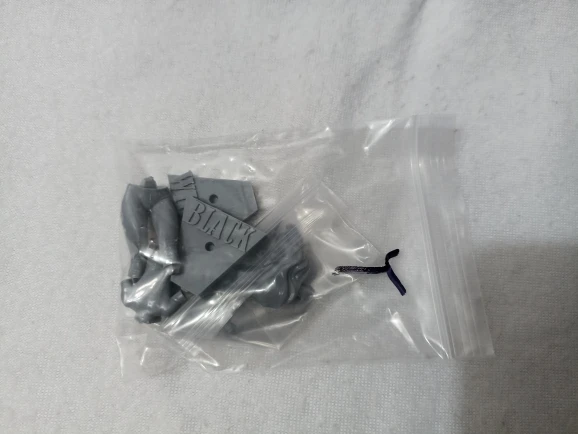 Buyer photo of this resin kit