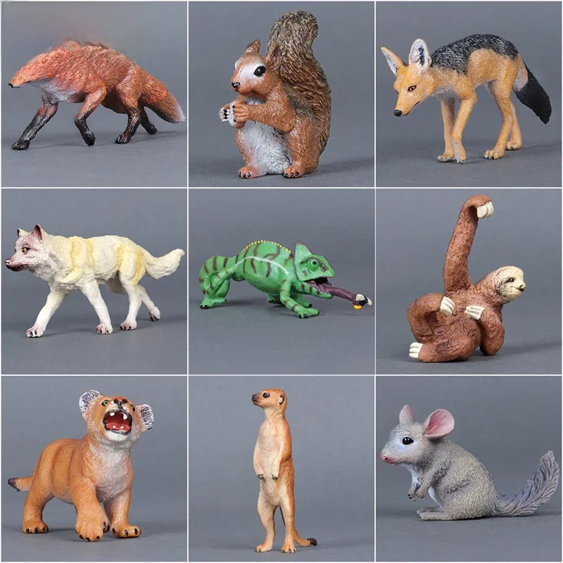 Simulation d'animaux sauvages, Zoo, loup, singe, renard, caméléon, Pangolin, écureuil, Chinchilla, âne, paresseux, figurines modèles ​ Jouets éducatifs