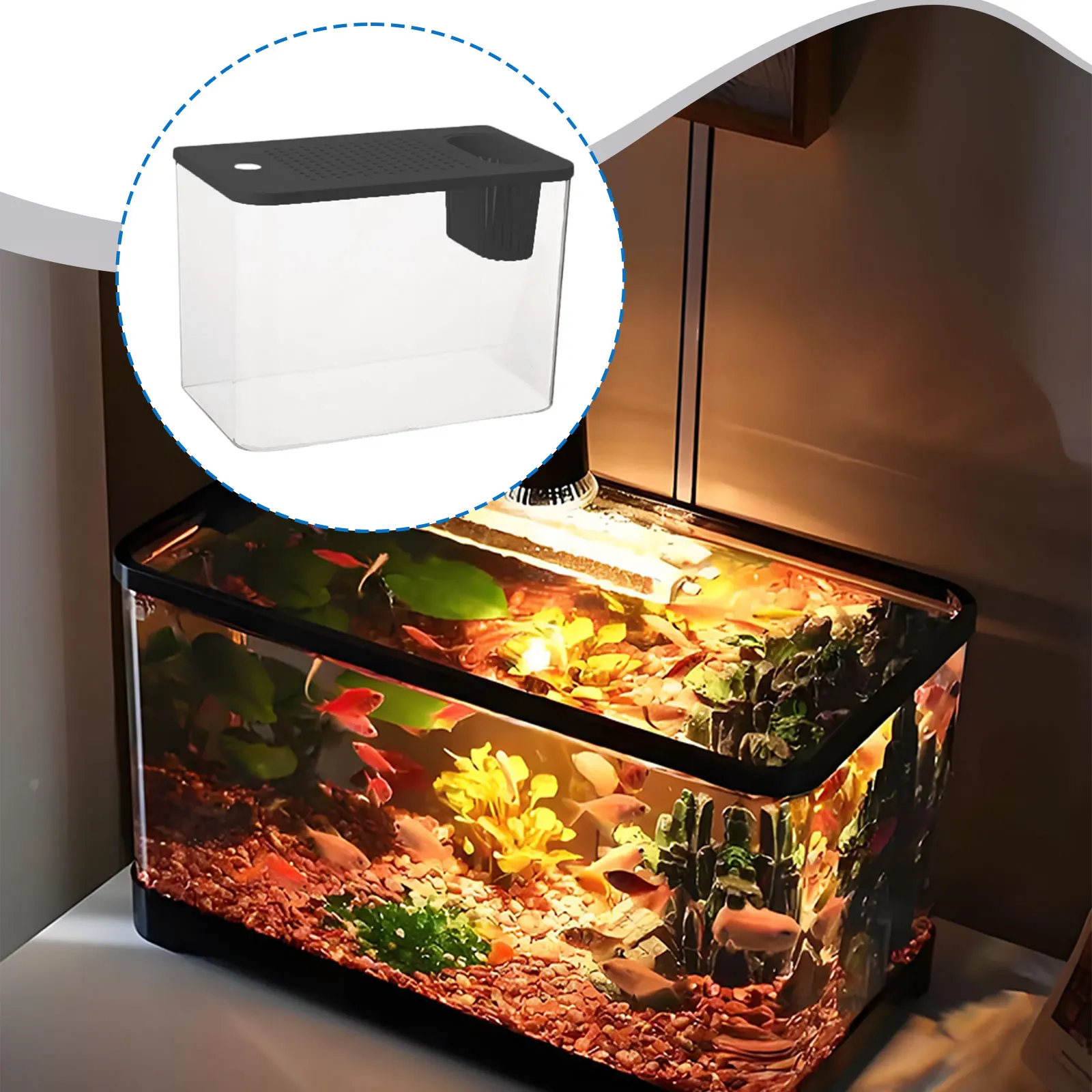Reptile Terrarium Clear Habitat Box 5