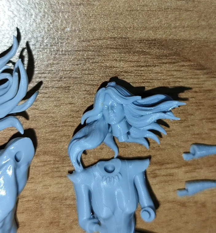 Buyer photo of this resin kit