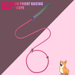 1pc Colorful Dog Training Rope Leash,The Onesie Dog Leash, Premium Quality Training Slip Lead, Comfortable for Pets