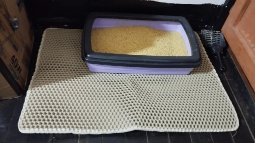 Customer review photo for Double-Layer Cat Litter Mat