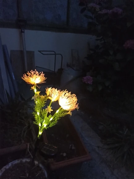 2PC solar powered shore flower ground plug-in lamp, outdoor waterproof, beautiful flower decoration, 1PCourtyard lawn decoration photo review