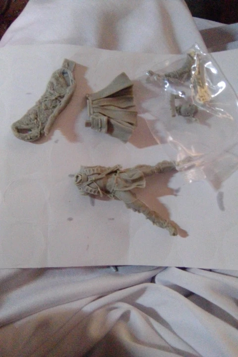 Buyer photo of this resin kit