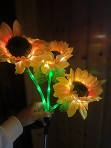 리뷰 사진