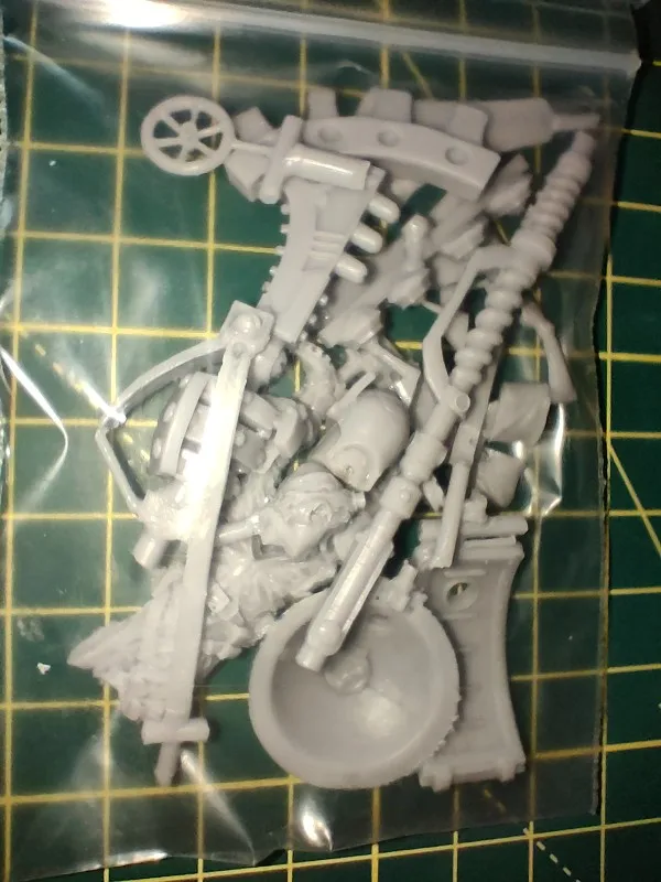 Buyer photo of this resin kit