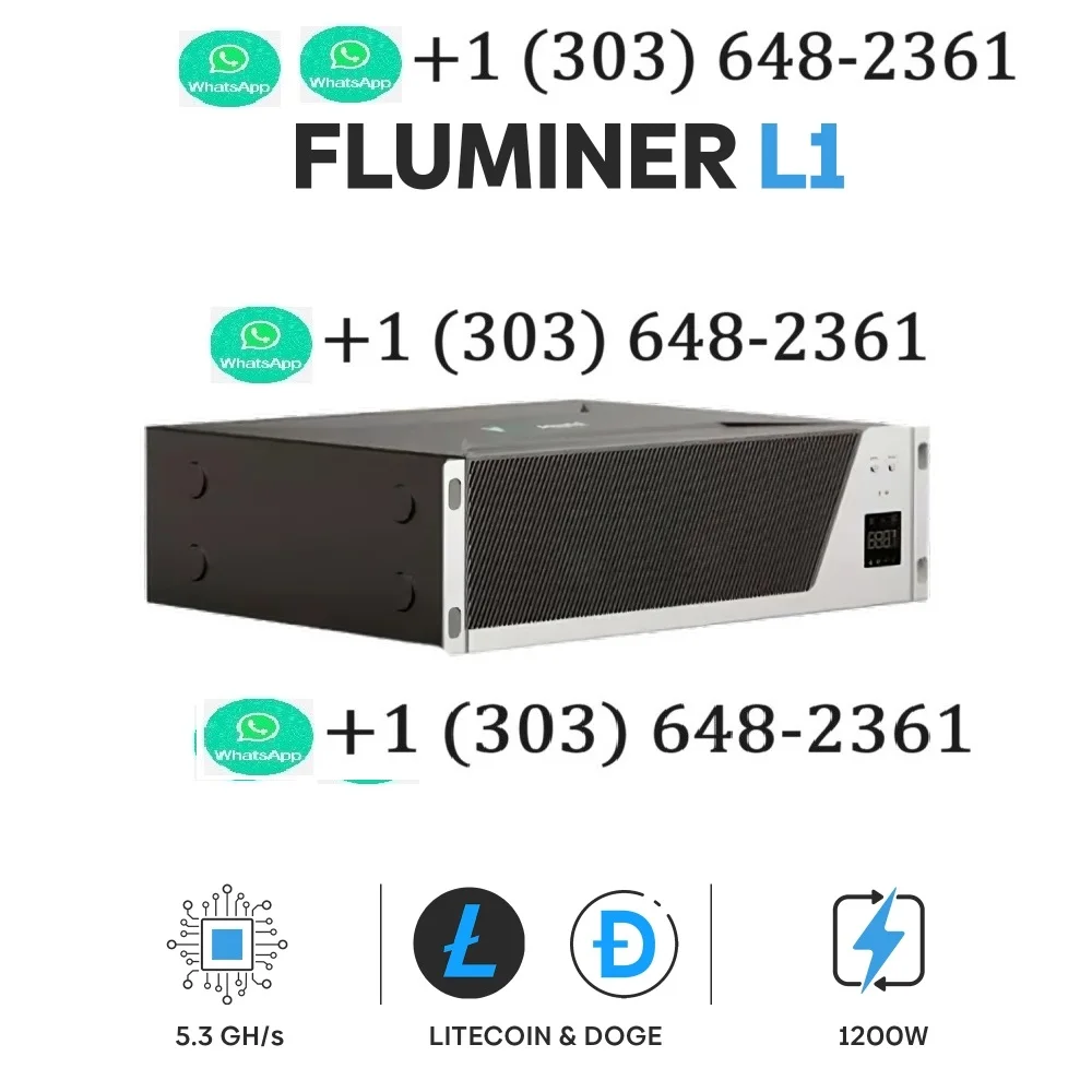 A1 AMAZING OFFER !! NEW Fluminer L1 5.3G 1200W DOGE /LTC/ BEL cion home miner