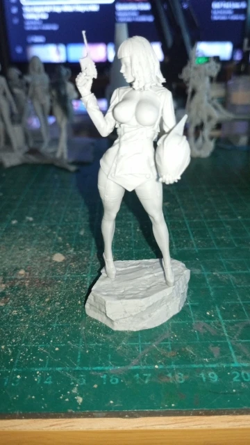 Buyer photo of this resin kit
