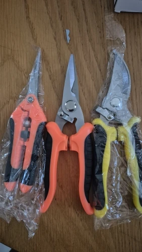 리뷰 사진