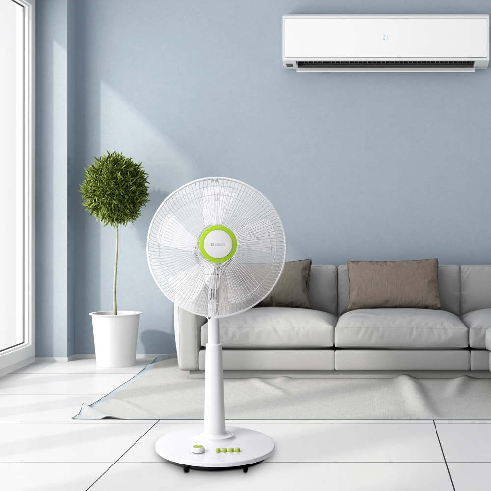 نيكو فان ، 14 بوصة ، من