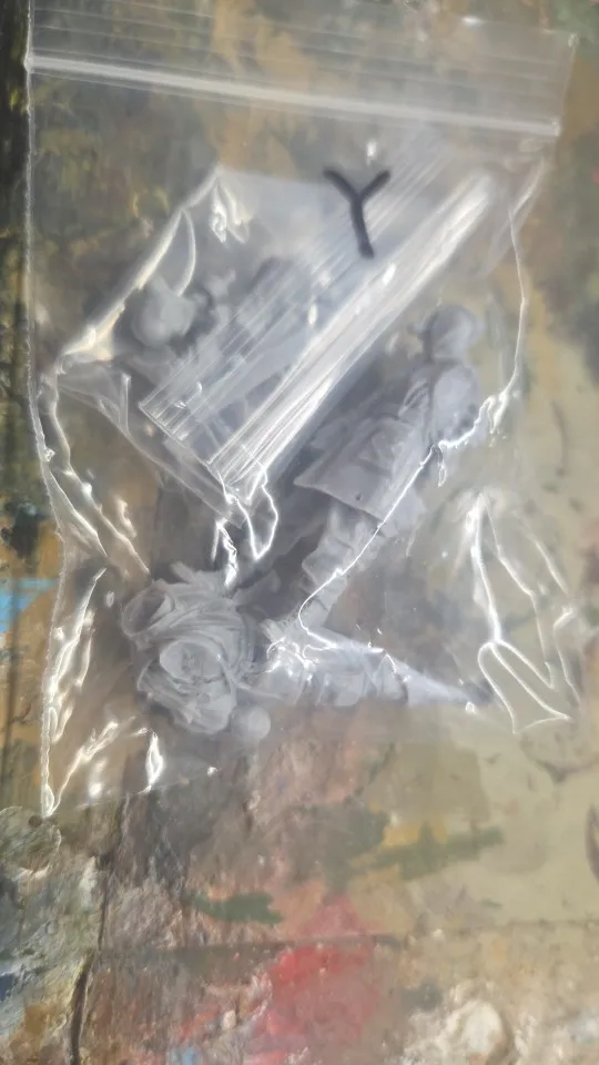 Buyer photo of this resin kit