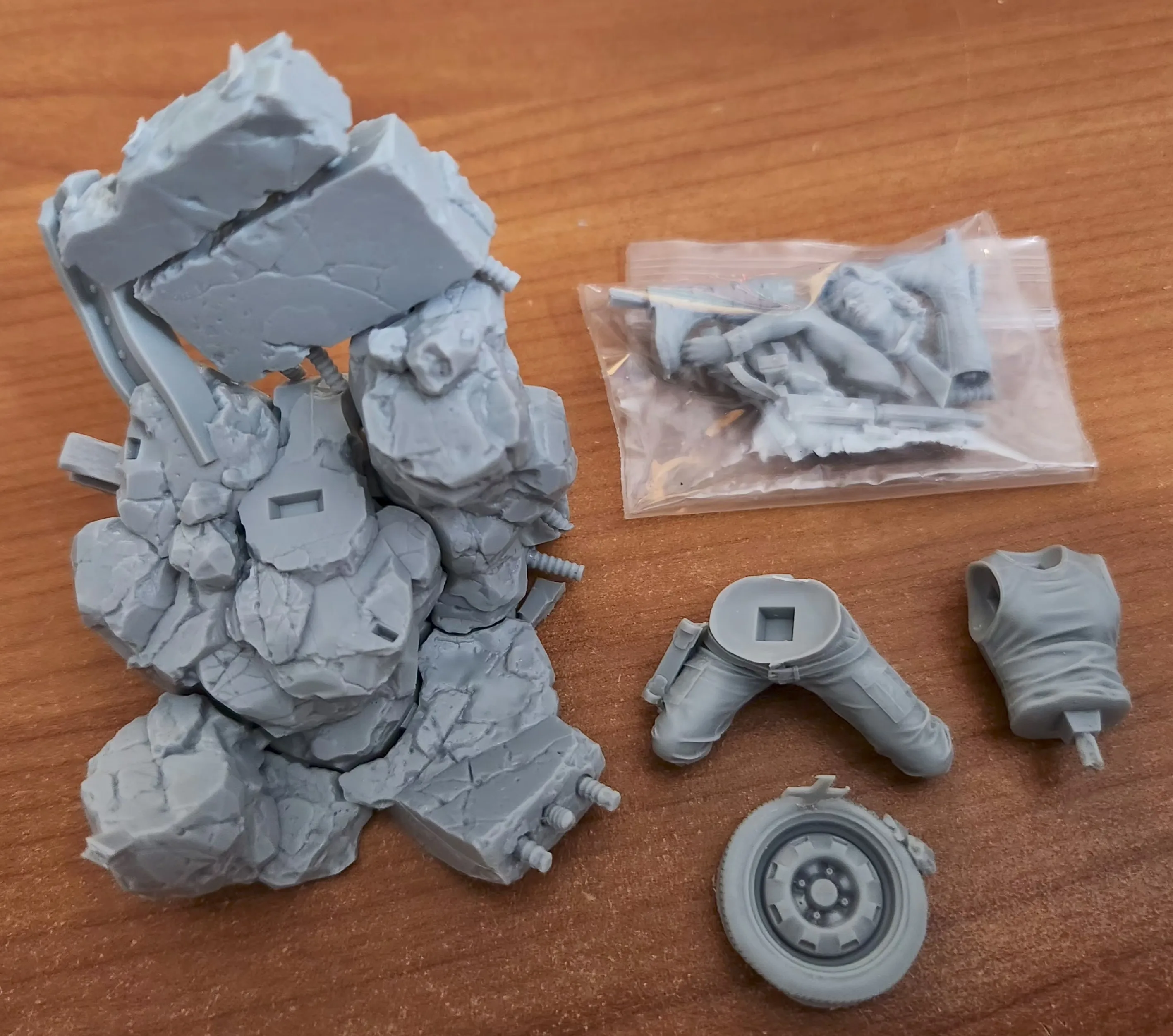 Buyer photo of this resin kit