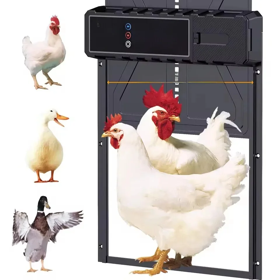 Porte automatique de poulailler en aluminium, avec grande minuterie d'affichage étanche, porte électrique pour poulet et canard, Protection intelligente contre les pincements
