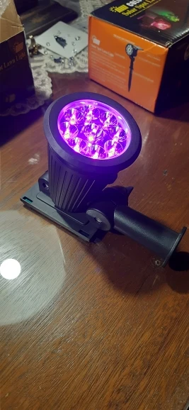 리뷰 사진