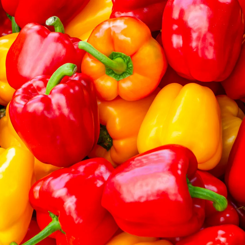 ggfarm Paprika 1kg 2kg 1box