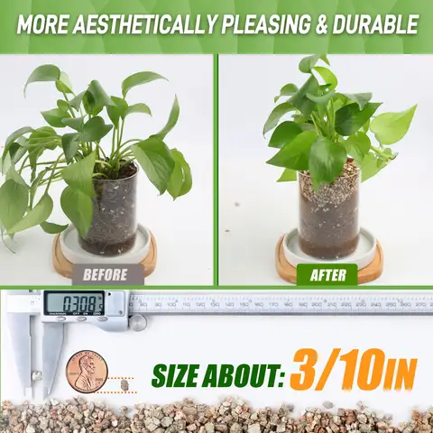 18QT vermikulit för trädgårdsbruk, grov vermikulitkvalitet för krukväxter och trädgårdsskötsel 10 best sales bonsai-frö - №4