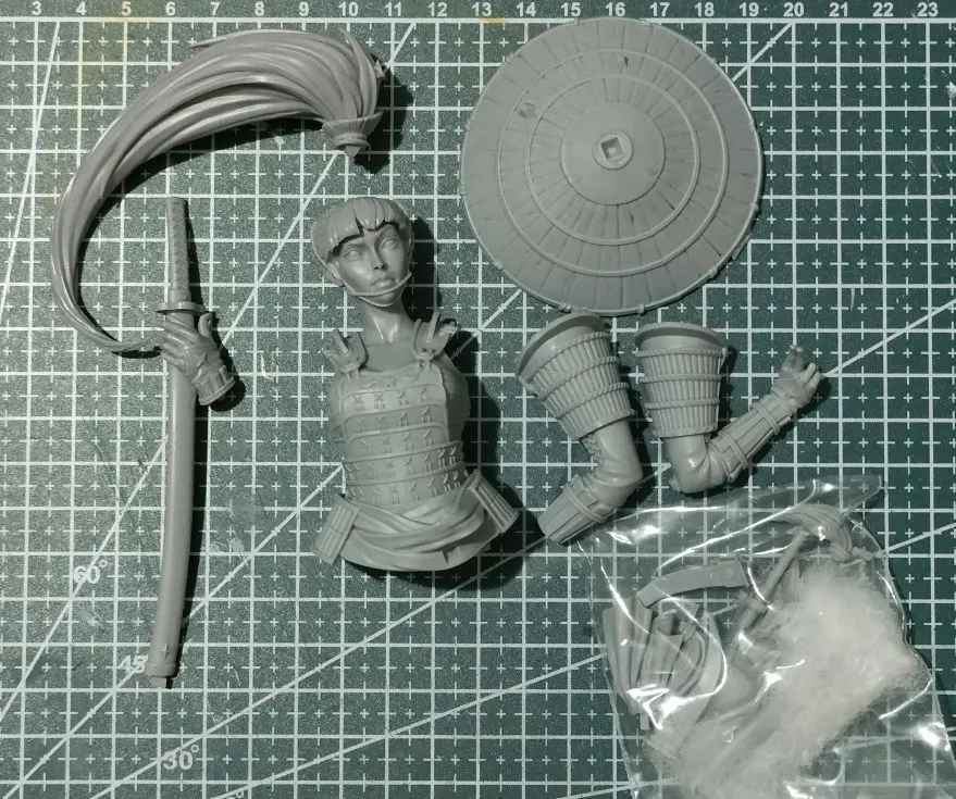 Buyer photo of this resin kit