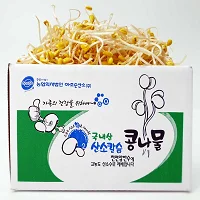 زراعة فول الصويا المنزلية الخالية من المبيدات الحشرية ، خالية من المبيدات الحشرية ، زراعة فول الصويا المحلية ، 1 ، 3 ، 5 ، من من من فول الصويا