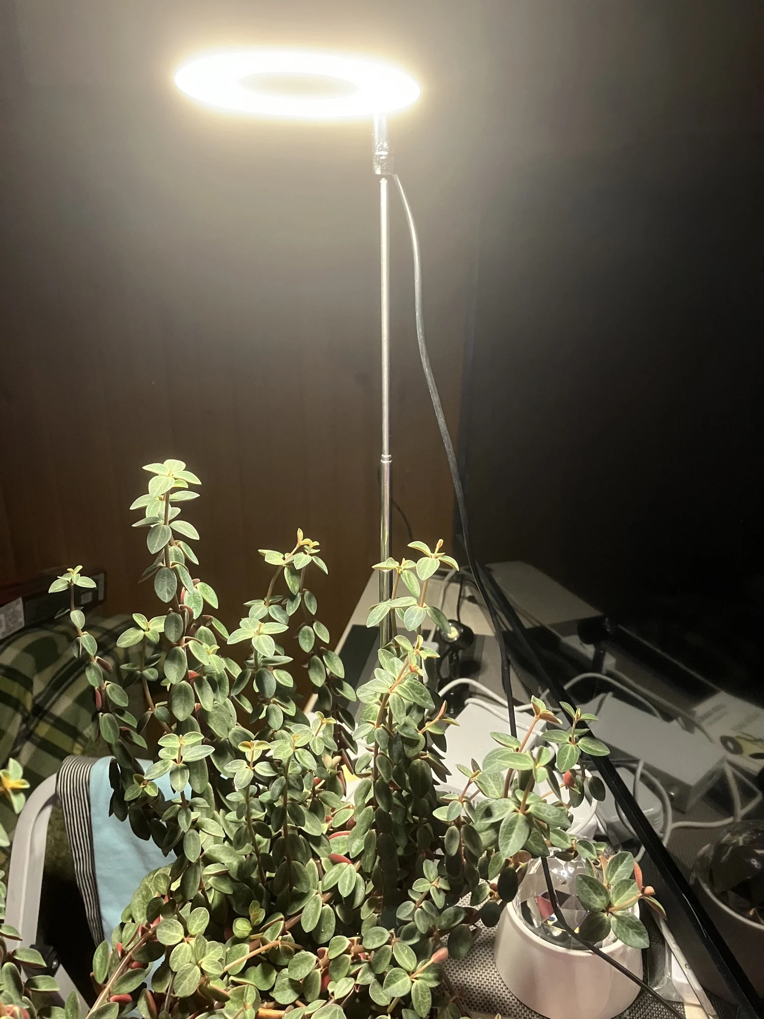 리뷰 사진