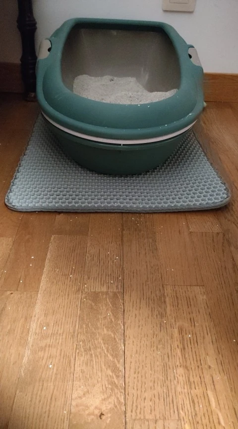 Customer review photo for Double-Layer Cat Litter Mat