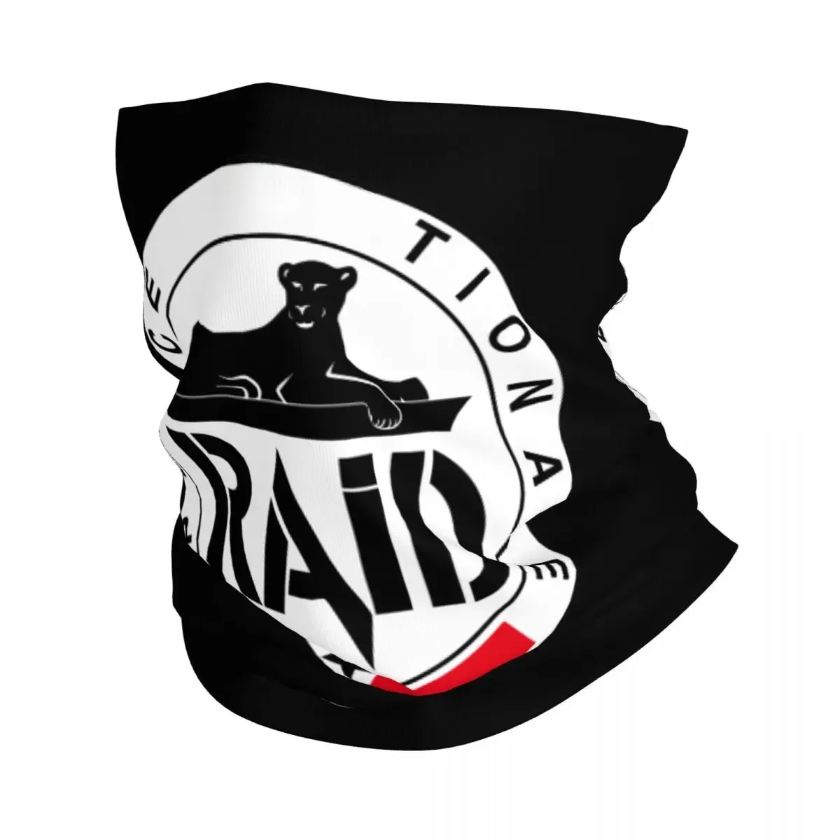 France RAID Police française hiver bandeau cou plus chaud hommes femmes randonnée Camping Tube écharpe visage Bandana guêtre