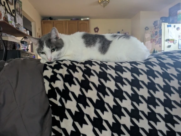 Customer review photo