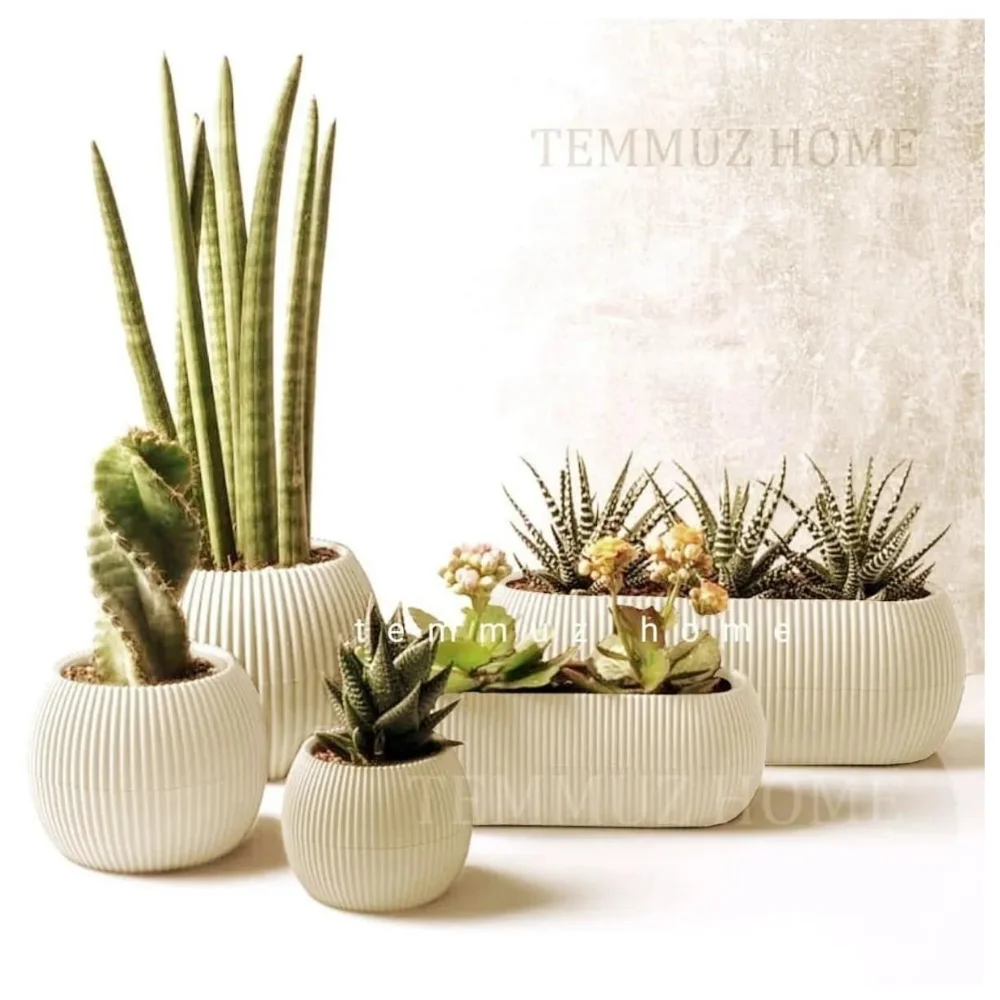 Decorative And Modern Concrete Ceramic Coral Flower Pot Set 5 Pieces Flower Basket Vase Decorative Home Accessories Garden Supp